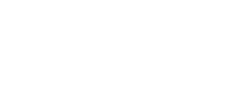 Haynes Authority