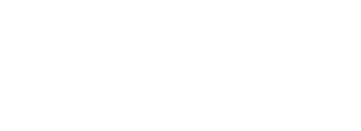 Dyess Authority